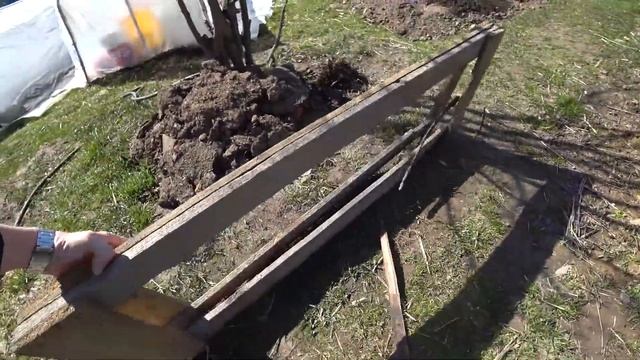 ШПАЛЕРА ДЛЯ ВИНОГРАДА / УКРЫТИЕ ВИНОГРАДА / ПРО ГОДОВАЛЫЙ ВИНОГРАД
