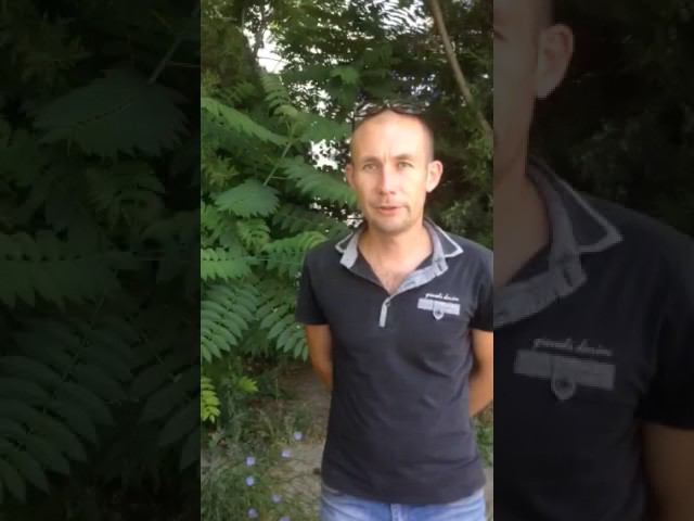 Антон из Севастополя свидетельствует о жизни в благовестии