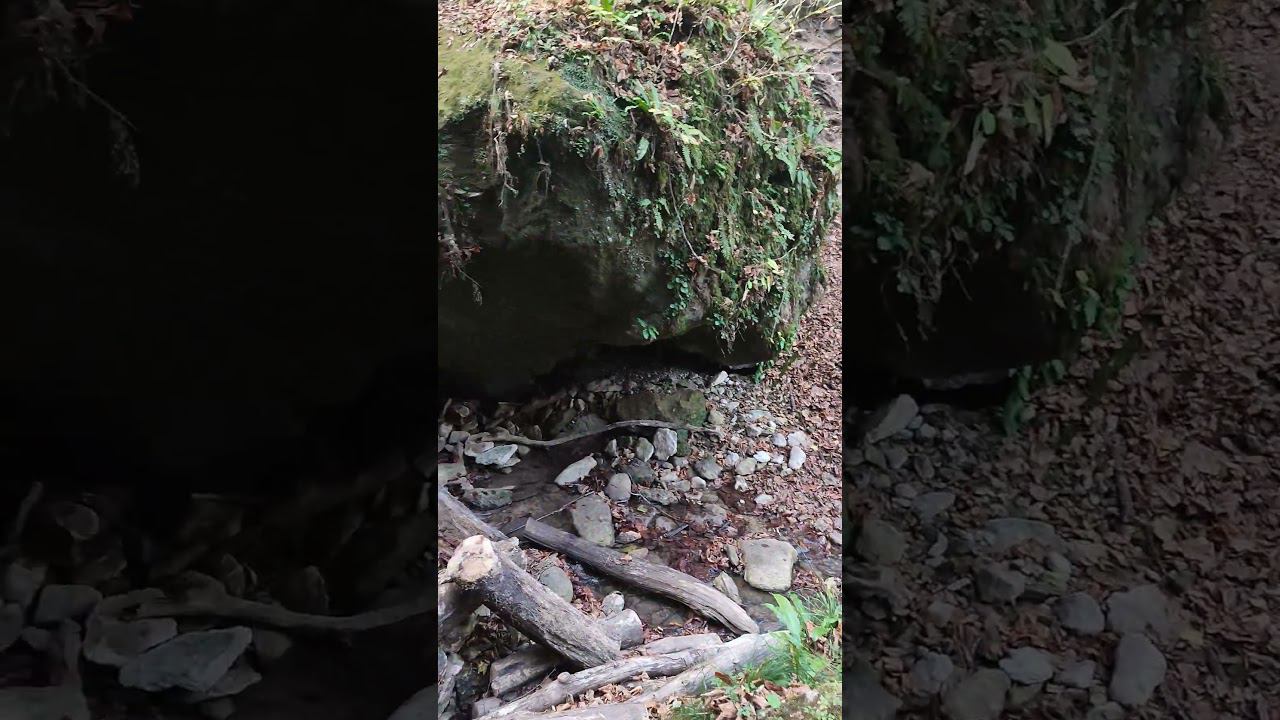 С первоклашками в горах на водопадах. ст. Баракаевская. 05-11-2023