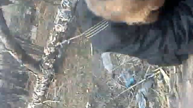 Яйцеед-2