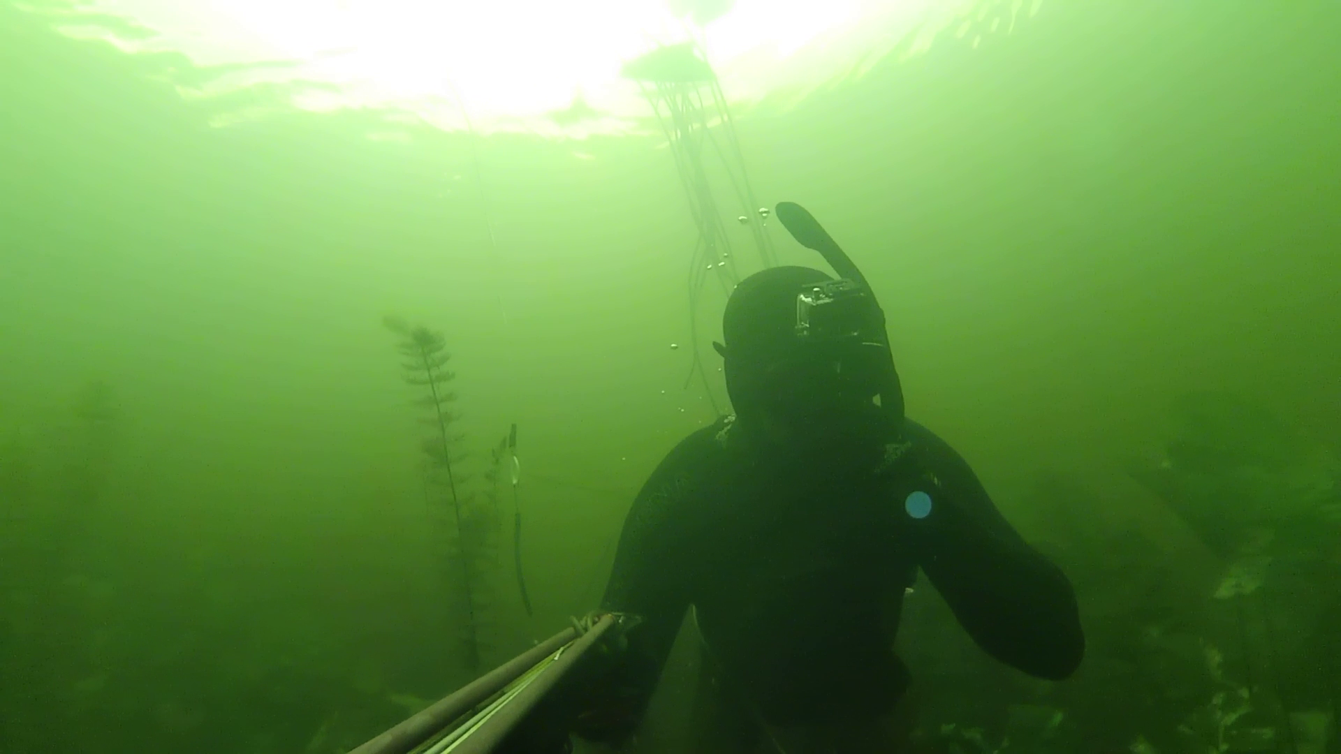Подводная охота После замора на реке Савала
