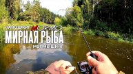 Ловля мирной рыбы на ультралайт. МОРМЫШИНГ НАНОДЖИГ