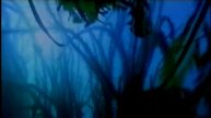 the Sunken Forest MIKE OLDFIELD