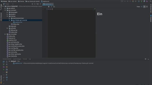 PHPStorm: git-Integration