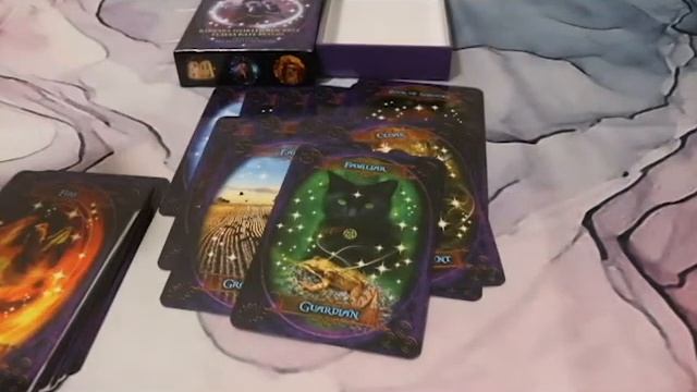 ?Witches Wisdom? Oracle Deck Review? IN LOVE! ?