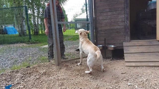 Рич встретил чужого