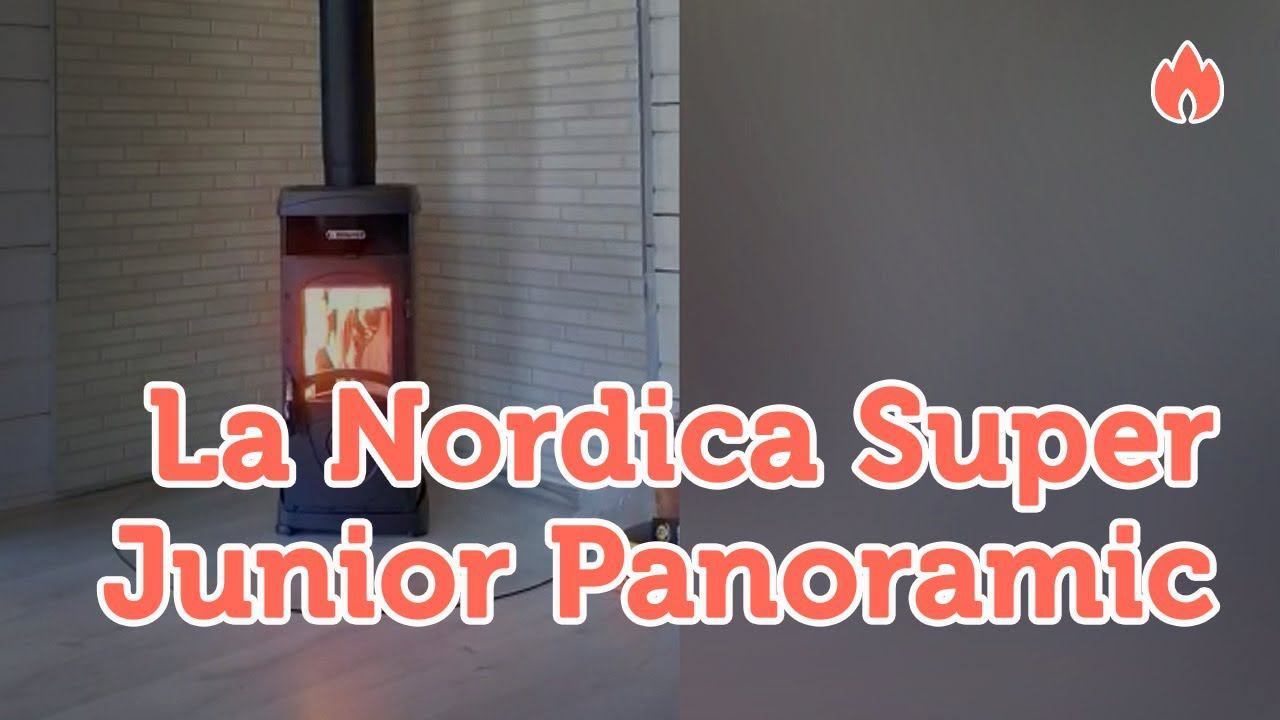 Печь La Nordica Super Junior Panoramic с варочной плитой...