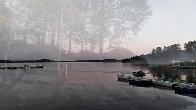 Дни летят быстрее пули