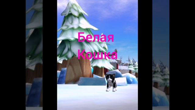 Белая кошка