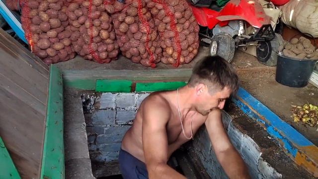 Наконец то Докопали Картошку/Я Конечно Сегодня На Это не Рассчитывала/27.08.23