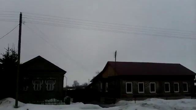 Молотицы