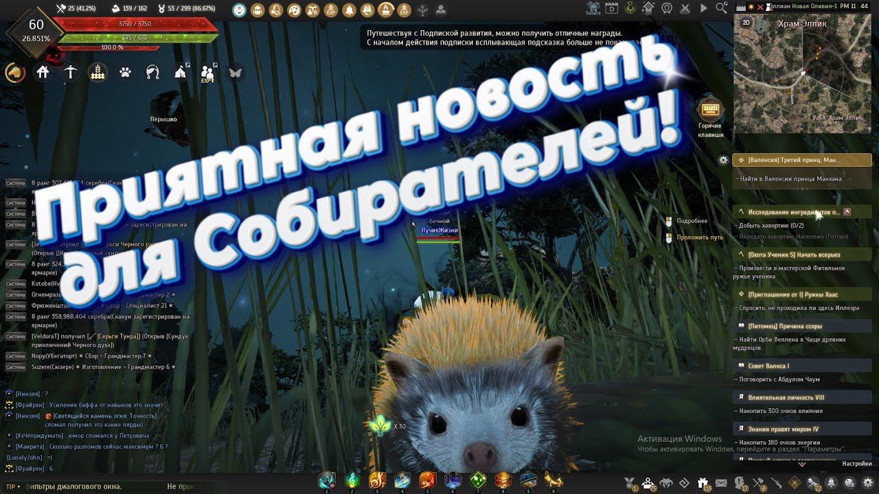 Золотой Ёжик в продаже! Поспешите!