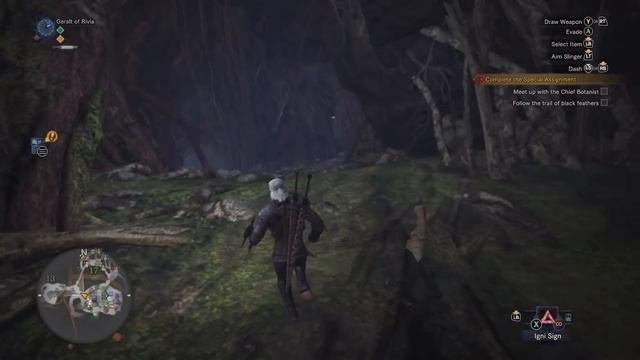 MHW X Witcher 3 All Rewards And True Ending! Keeping Pukei Pukei Alive  Monster Hunter World