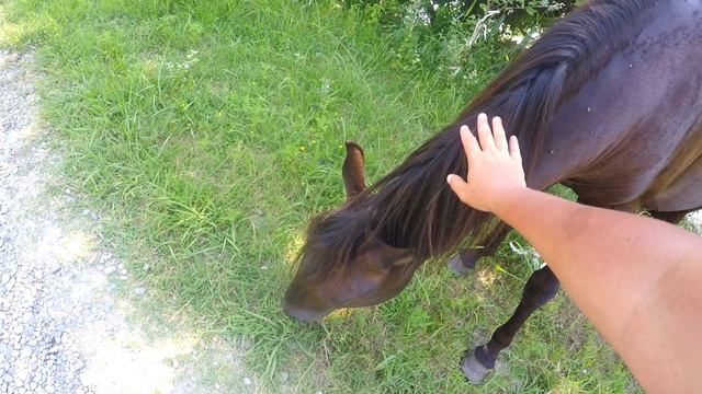 Руфабго - Сочи