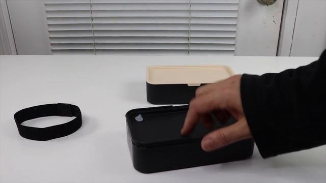Bento    Lunch  Box        Review - BEST Bento Box    