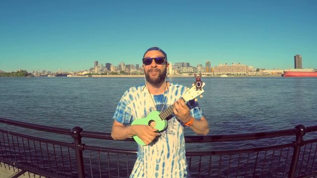 Green Day - She (acoustic ukulele cover)