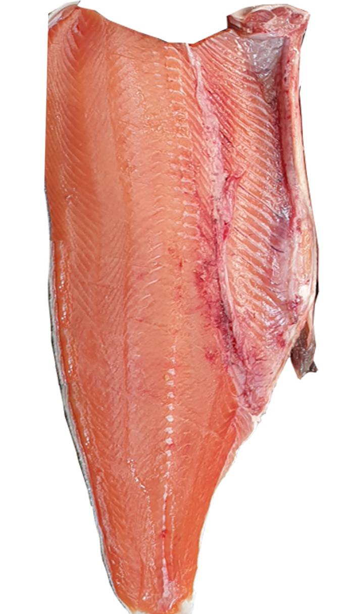 Кета ПБГ, Oncorhynchus keta, Chum Salmon H/G, Колпаковский РК (Камчатка)