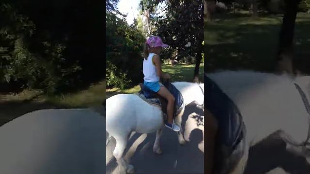 Настена оседлала Бинара. Бинар - сочинский пони в парке Ривьера.