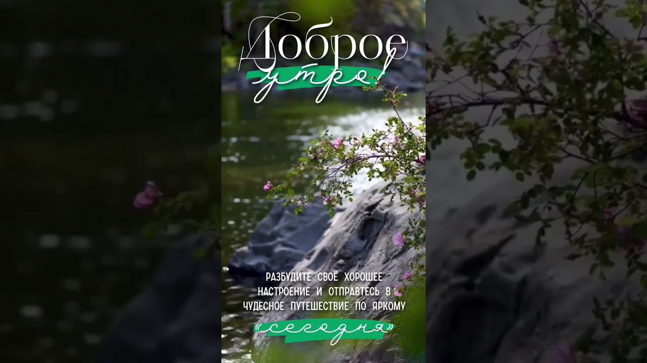 Открытка. Доброе утро. #открытки #доброеутро