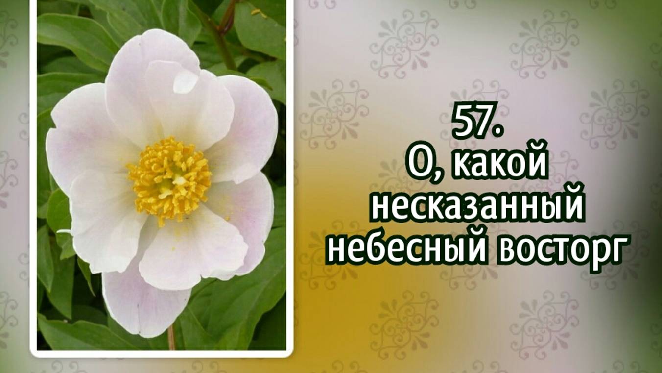 Гимны надежды 57 О, какой несказанный небесный восторг (-)