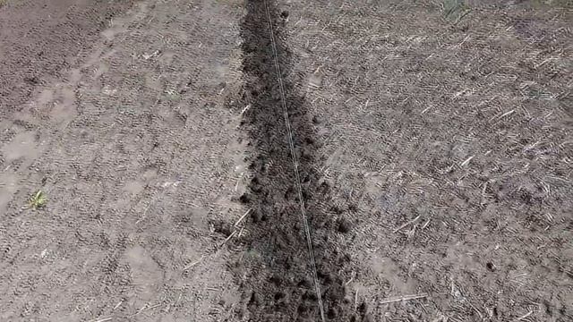 Огурцы на шпалерах. Минимум вложений - максимум урожая.