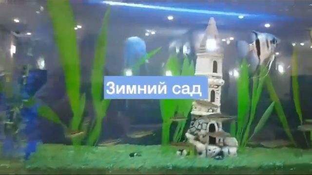 Мария "Янган-Тау" экскурсия, притча, аватар здоровья и т.д. Ноябрь 2023
