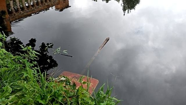 Елизавета в Марфино