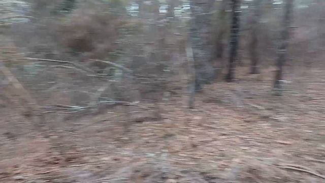 The Future Home Site #Homestead 6.5 Acers