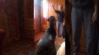 Алиша прыгает