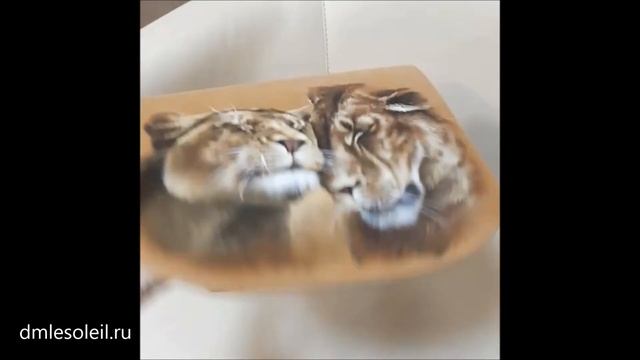 Сумка и кошелек плоский "Львы трепетные чувства" бежевые LeSoleil