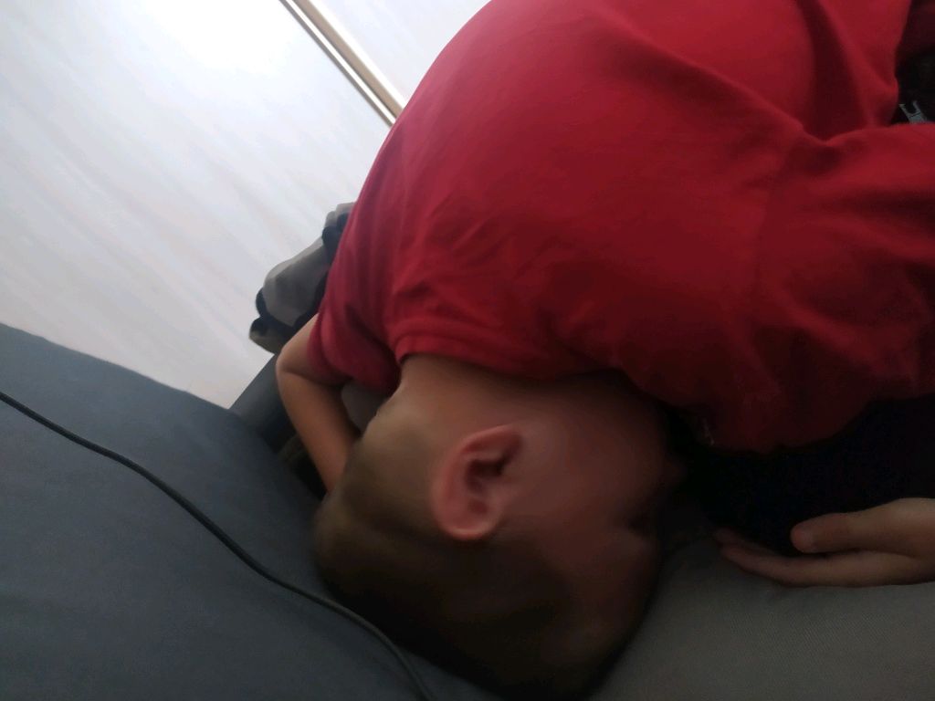 что с еликом