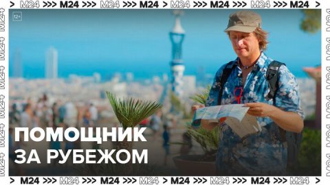 В МИД РФ напомнили о мобильном приложении "Помощник за рубежом" - Москва 24