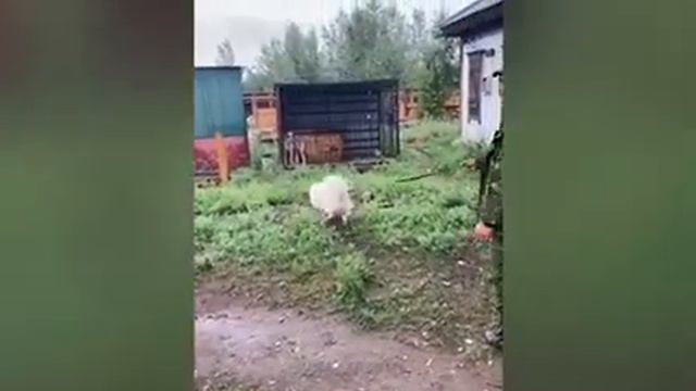 Сегодняшний день.