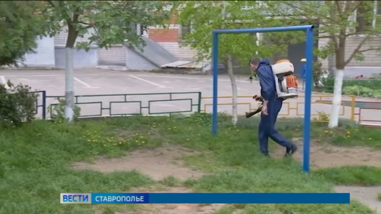 Более 1,5 тысячи жителей Ставрополья пожаловались на укусы клещей