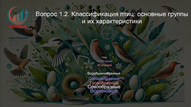 Орнитология. Профпереподготовка. Лекция. Профессиональная переподготовка для всех!