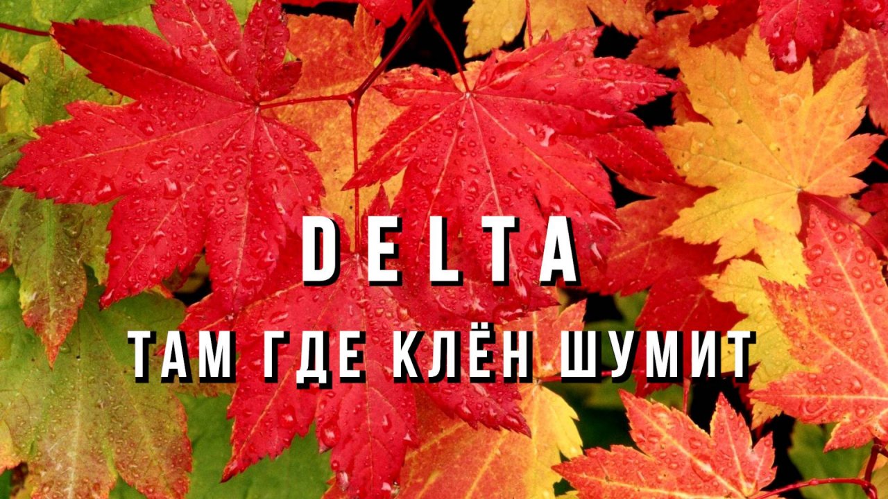 DELTA - Там где клён шумит (кавер)