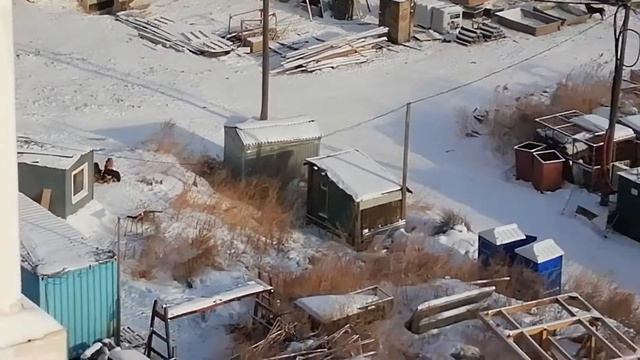 Материал для Роспотребнадзора (СЭС) - свалки-помойки, костры, собаки - 2014-02-04 - 12:00