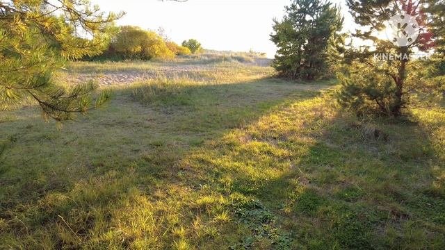 Сестрорецк Берег финского залива