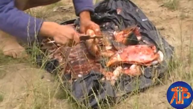 Купавна. Наряд к Палычу....mp4