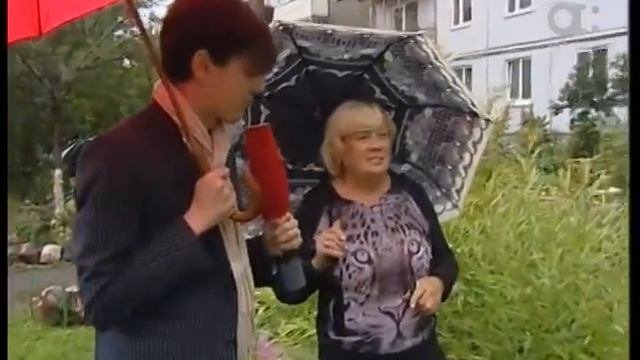 Включение. Красивый двор