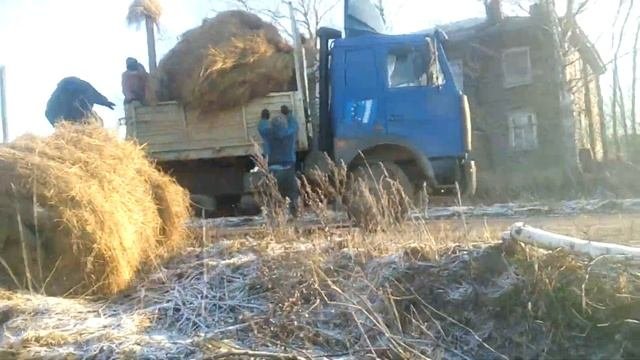 Приводим в порядок арендованную землю! Привезли сено!