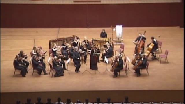 Pergolesi Stabat Mater,Aria,version for violin,viola and orchestra.wmv