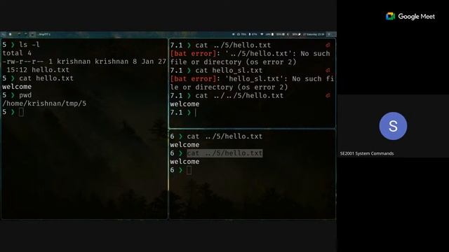 Open/Revision Session - Week 1