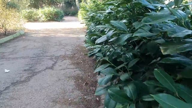 Ялта 1 Января 2023. Санаторий МО. Дворец Мордвинова