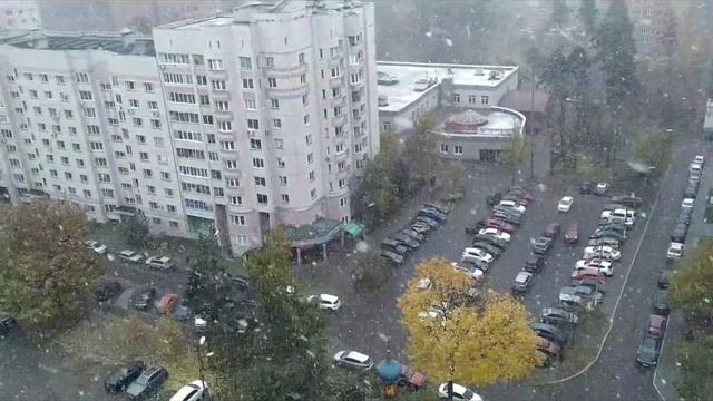 Наш удивительный мир. А снег идёт, а у вас?