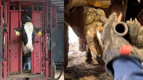 WATCH HER FACE!! while she gets Pedicure