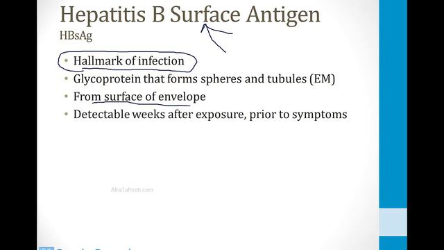 Infectious Diseases - 6. Viruses - 5.Viral Hepatitis atf
