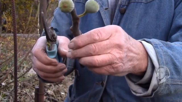 ПРИГЛАШЕНИЕ НА КАНАЛ "КАК ПРЕКРАСЕН ЭТОТ МИР"!