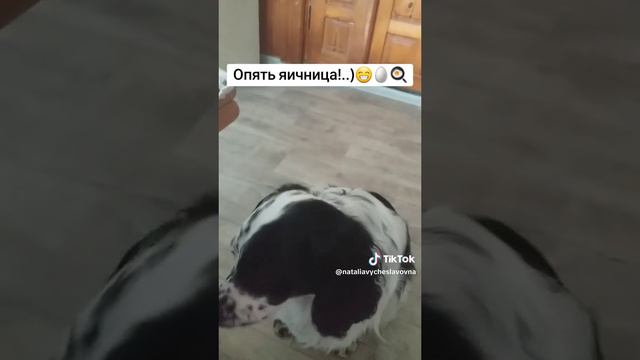 Опять яичница!...)))