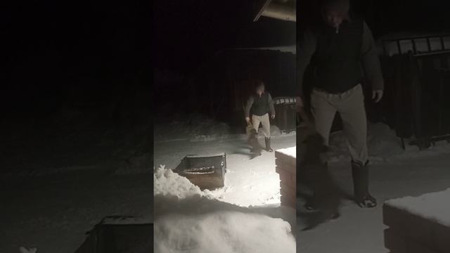 Вот так ходим гулять вечером
